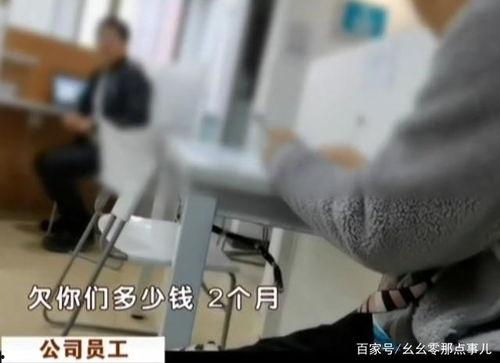 残疾人吃瓜视频,展现生活乐趣与平等关怀