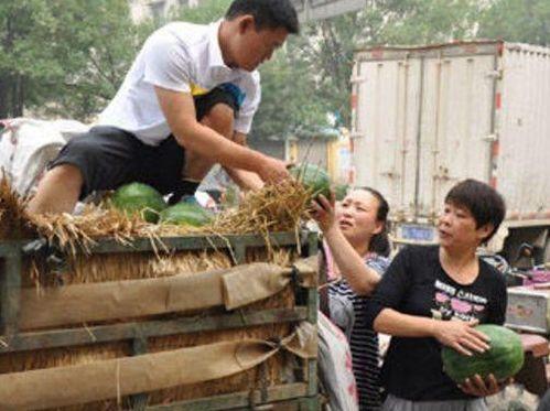 宁强县吃瓜事件视频,一场引发热议的网络风波