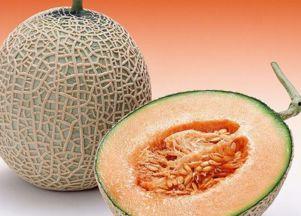 搞笑女博主吃哈密瓜视频,场面笑翻网友