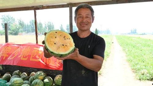 曲阳吃瓜爆料最新视频,最新视频揭秘惊人内幕