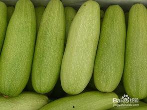 吃白瓜有哪些坏处视频,白瓜食用不当的五大风险揭秘
