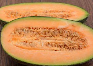 小陈吃哈密瓜视频播放下载,美味瓜果播放下载攻略